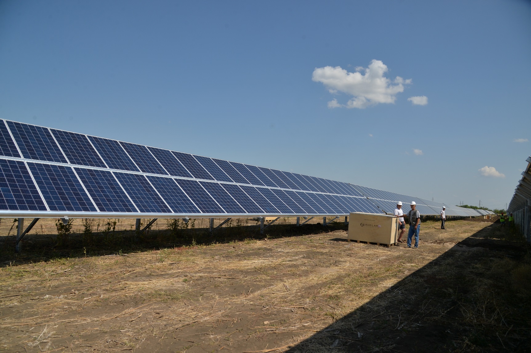 В Саратовской области запущена первая в регионе солнечная электростанция